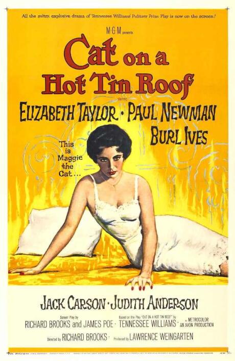 Cover of the book Cat on a hot tin roof with Maggie the cat