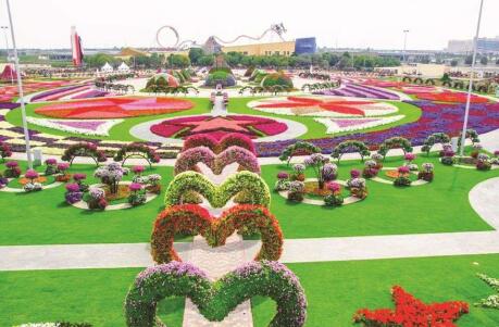 Gay Dubai - Explore the stunning designs at the Dubai Miracle Garden.