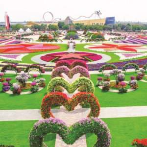 See the incredible floral displays at Dubai Miracle Garden