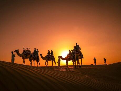 While you're in Abu Dhabi you have to experience a safari in the dunes and a romantic dinner in the desert!