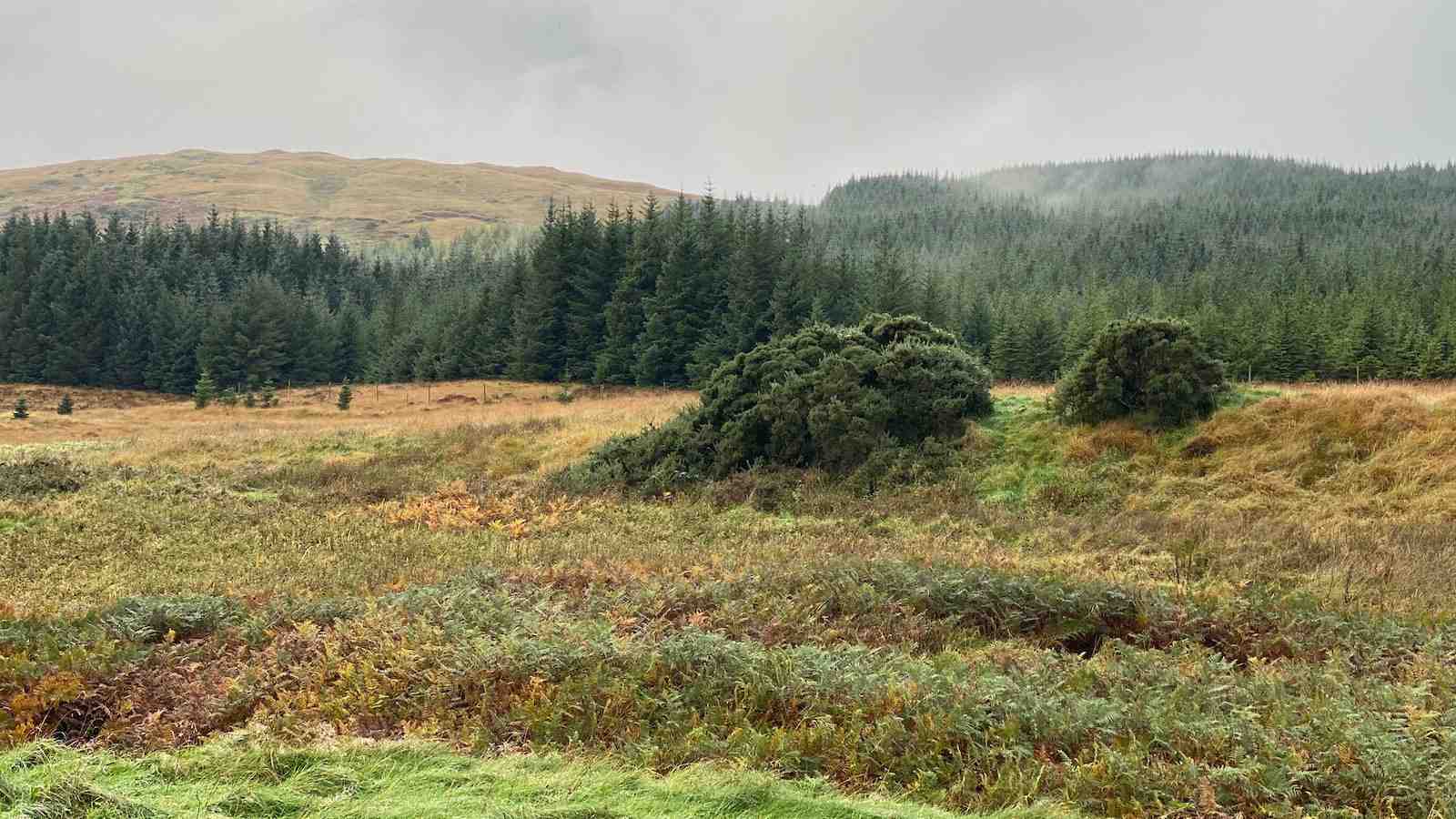 Finlaggan is a beautiful spot on the Isle of Islay, that was once home to a castle