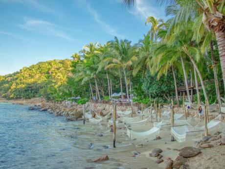 Relax in the hammocks at the secluded Las Caletas beach near Puerto Vallarta.