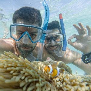 Snorkelling in the tropical water and seeing beauiful corals and fish