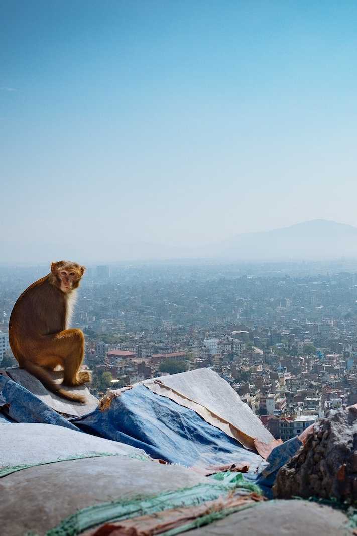 Check out our gay guide to Kathmandu with all the best things to do and places to stay