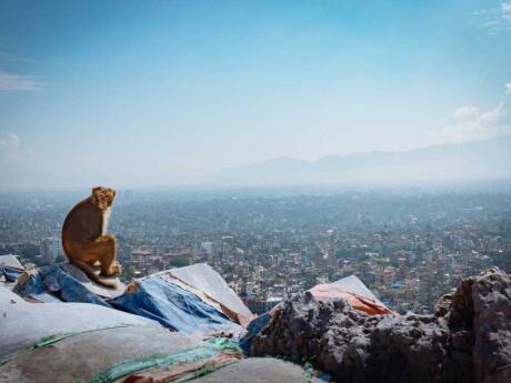 You can't visit Nepal and not spend some time in chaotic and colorful Kathmandu!