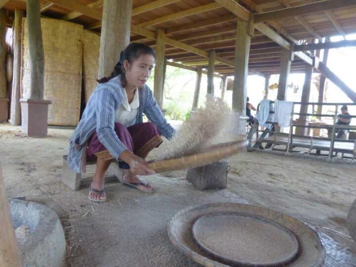 The Living Land Farm Experience is a must-do in Luang Prabang to learn about Laos rice-farming