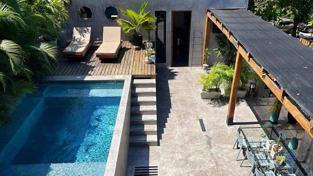 The sunny pool and terrace area at LOTE 4 LGBTQ Studios in Playa del Carmen.