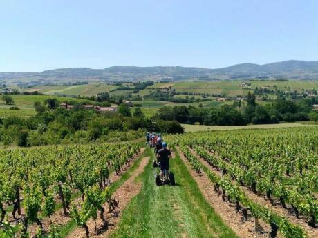 Explore the wineries in the region surrounding Lyon to sample some excellent wines, and on a segway too!