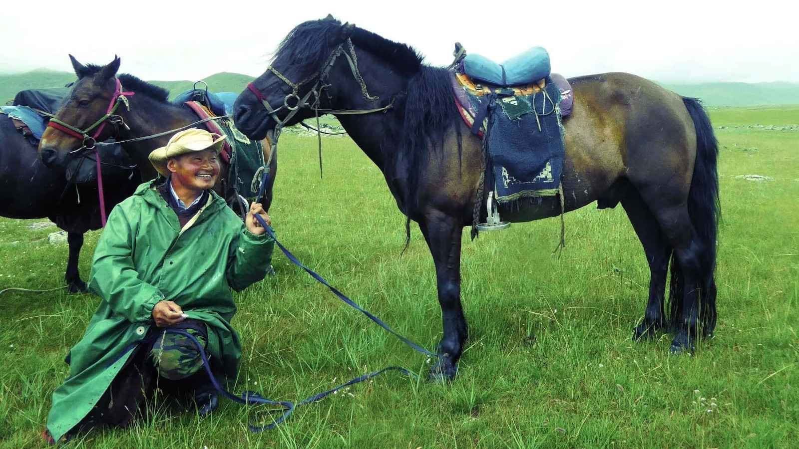 Mongolian nomad holding a horse