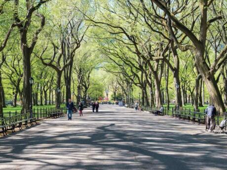 Central Park is a wonderful place to relax, keep fit, explore or go for a romantic horse-drawn carriage ride.