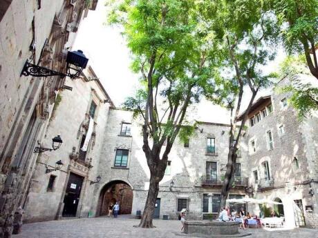 If you want to learn about Barcelona's history and see the most beautiful architecture, join a walking tour of the Gothic Quarter