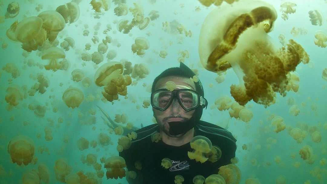 This gay scuba expedition to Palau includes the chance to swim in the famous Jellyfish Lake