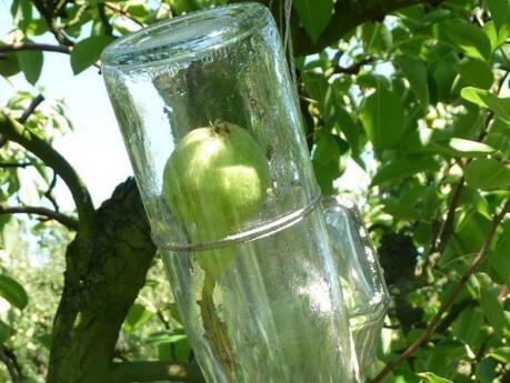 Taste some pear brandy and beer from the Lyon region on a unique tour