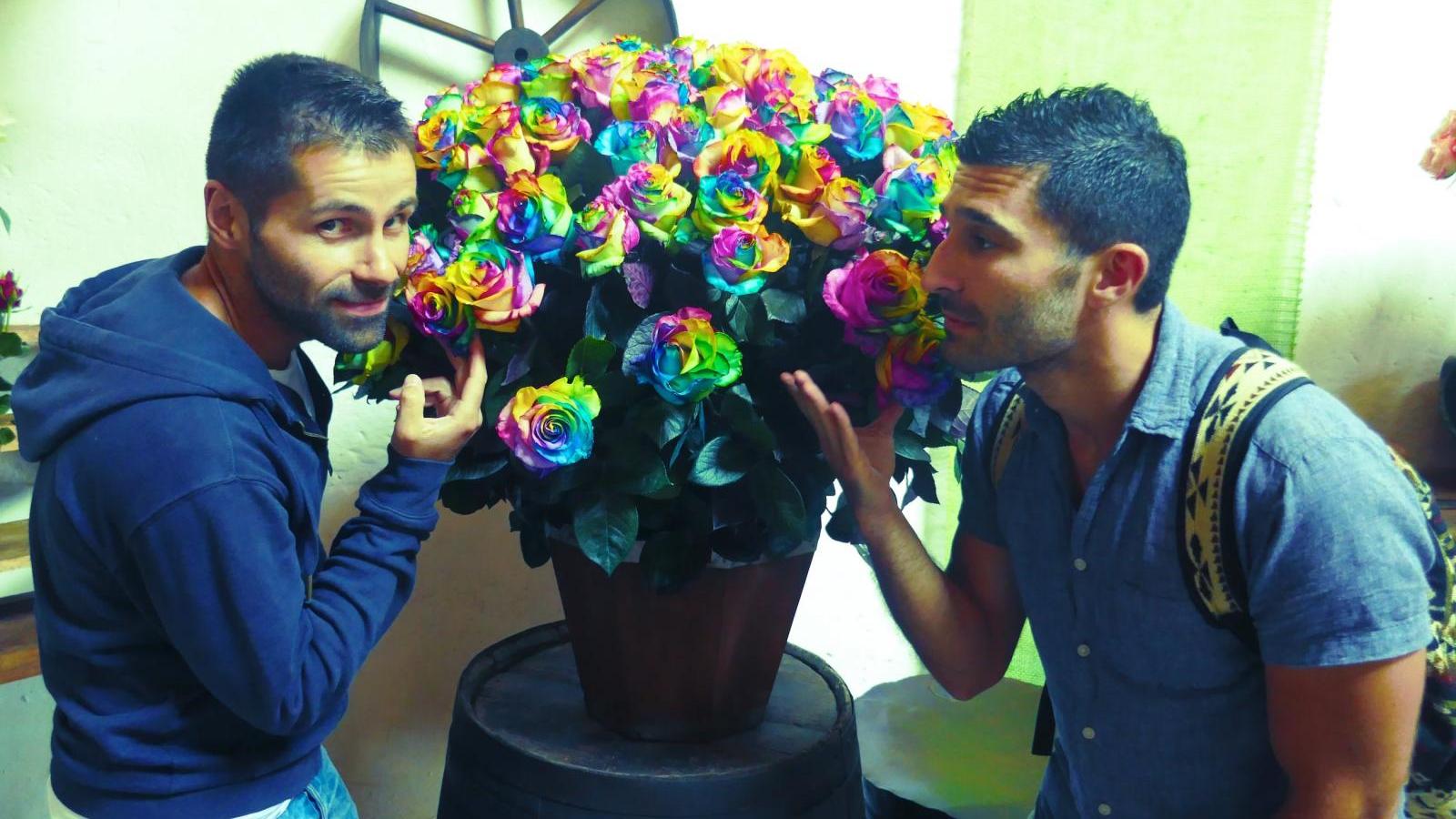 Smelling rainbow roses in Ecuador