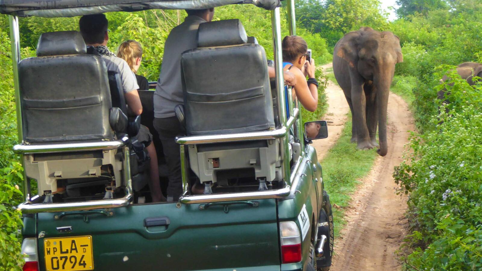 The best safari in the world is in Sri Lanka