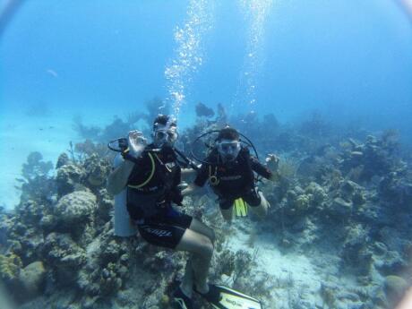 The Maldives is an absolute paradise for scuba diving, whether you're a total beginner or a pro!