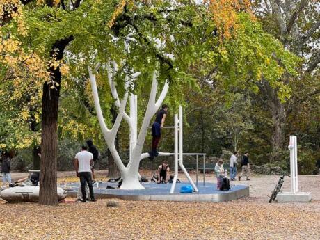 People working out on the exercise equipment, surrounded by greenery at Sempione Park in Milan.