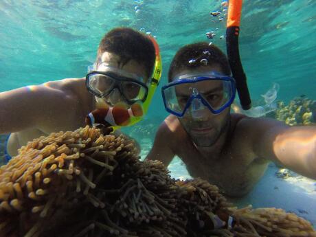 Snorkelling with clown fish on Koh Adang