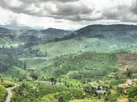 The best way to enjoy some incredible scenery in Sri Lanka is by taking a train journey through the lush landscape