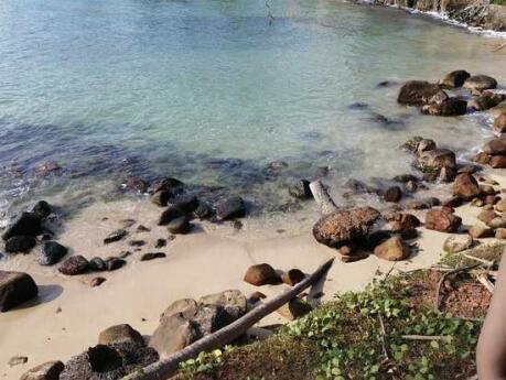 Turtle Point in Mirissa is a great spot to see baby turtles hatching